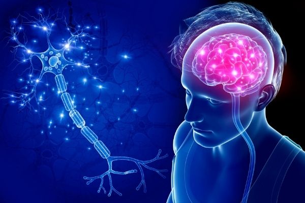 what is motor neurone disease